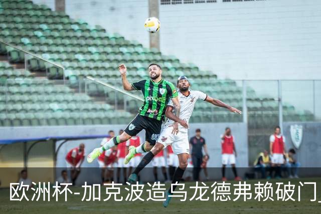 欧洲杯-加克波造乌龙德弗赖破门 荷兰2-1土耳其